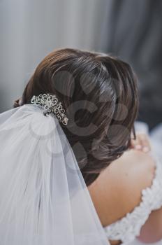 Photo of wedding hairstyle with veil and decorations.