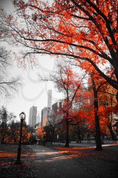 New York City Manhattan Central Park . black and white photo with the color red.