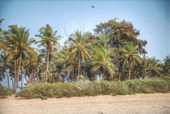 Goa is a state in the south-west of India. The boat is by the ocean