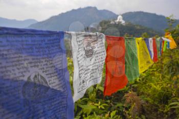 Many colorful waving prayer flags suspended between trees