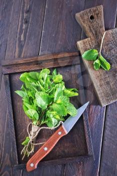 fresh mint on wooden tray and on a table