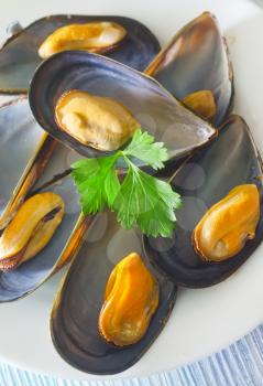 mussels