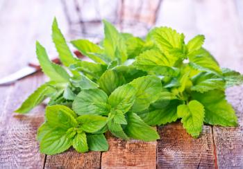  mint on the wooden table, fresh mint