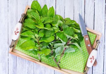 fresh mint and knife on the white table
