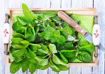 fresh mint and knife on the white table
