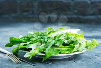fresh rucola on plate and on a table