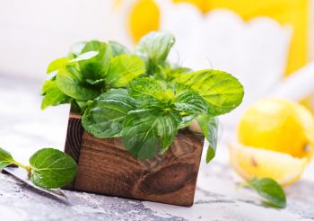 fresh mint in box and on a table