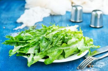 fresh ruccola on white plate and on a table