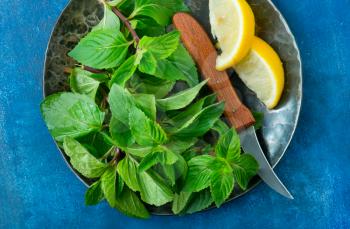 mint with lemon on plate and on a table
