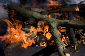 Thick dry broken tree branches burning in an iron brazier under sunlight closeup view