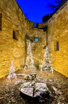 Christmas trees at Hohenzollern Castle in Baden-Wurttemberg, Germany