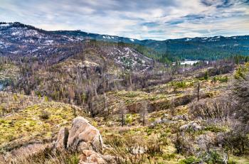 Landscape of Sequoia National Forest in California, United States