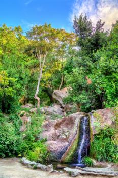 Waterfall in Vorontsov Park in Alupka - Crimea, Europe