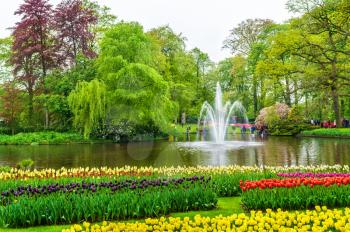 View of Keukenhof, also known as the Garden of Europe, in the Netherlands. One of the world's largest flower gardens