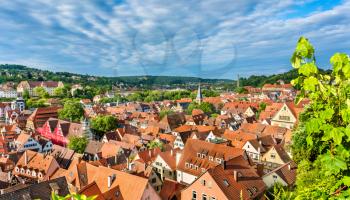 Panorama of the historical center of Tubingen - Baden Wurttemberg, Germany.