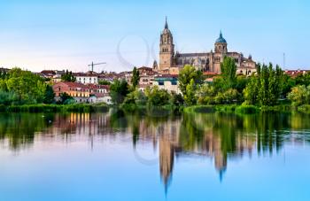 The New Cathedral of Salamanca reflecting in the Tormes river in Spain