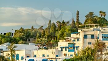 View of Sidi Bou Said, a town near Tunis in Tunisia