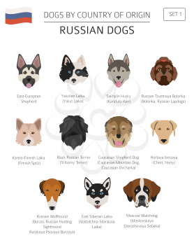 Dogs by country of origin. Russian dog breeds. Infographic template. Vector illustration