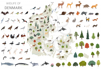 Flat design of Denmark wildlife. Animals, birds and plants constructor elements isolated on white set. Build your own geography infographics collection. Vector illustration