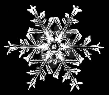Snowflake Stock Photo