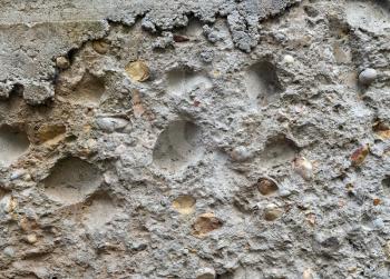 Coquina texture. Old grunge fossil limestone background.
