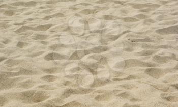 Closeup of trampled sand on the beach in summer.
