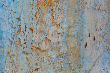 Old blue grunge material. Peeling paint on wall texture.