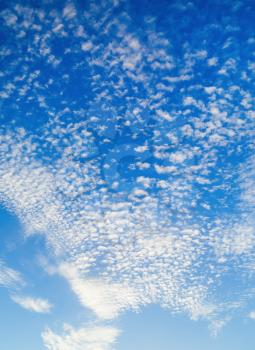 Blue sky with many small fluffy white clouds. Sky with clouds background. Vertical shot.