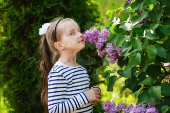 Child smelling lilac flowers. Little girl and lilacs outdoors in the garden. Beautiful spring day. Selective focus.