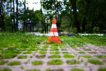 Parking cone in green park zone background hd