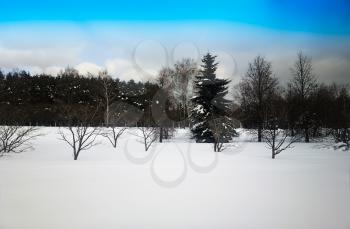Classic Russian winter landscape background high def