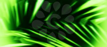 Horizontal acid green palm leaf abstract illustration background backdrop