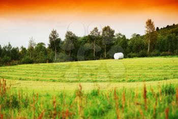 Packed haystack on Norway field background hd