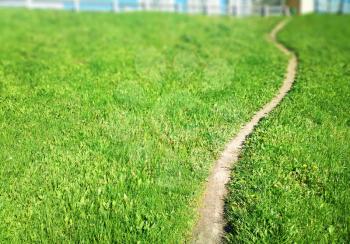 Curved path on green summer lawn bokeh background