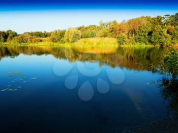 Forest river landscape background