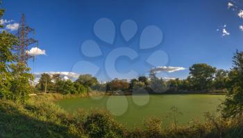 Panoramic view of the Old dirty green pond covered with duckweed and mud in a summer day