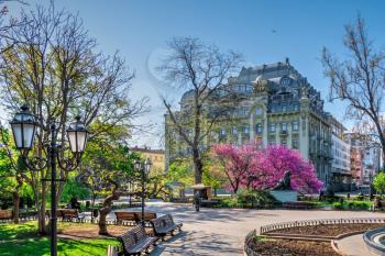 Odessa, Ukraine 28.04.2020. Spring flowering trees in the city garden of Odessa, Ukraine, on a sunny April morning