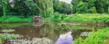 Bila Tserkva, Ukraine 06.20.2020. Alexandria park in Bila Tserkva, one of the most beautiful and famous arboretums in Ukraine, on a cloudy summer day.