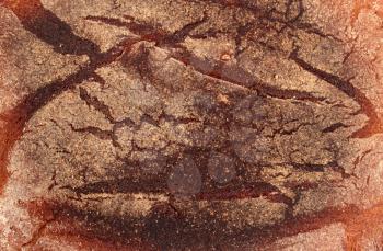 Rye bread texture background