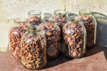 Dried fruits in the three-liter jar. Dried apples, cut into slices.