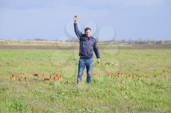 A man in a jacket on a field of tulips. Glade with tulips.
