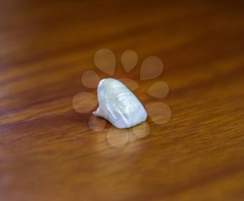 Tooth, metal ceramic crown on the table. Denture made of metal ceramics.