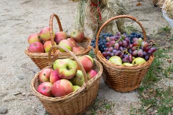 Baskets with apples, pears and grapes. Baskets with fruit.