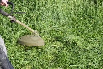 Mowing green grass using a fishing line trimmer. Application trimmers.