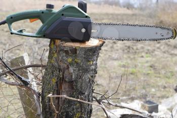 sawn electric sawing tree. The stump of saw cut branches.