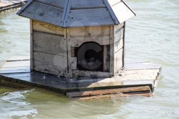 Houses for ducks on the lake. Taking care of ducks. Man-made nests for gray ducks.