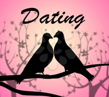 Dating Doves Indicating Love Birds And Relationship