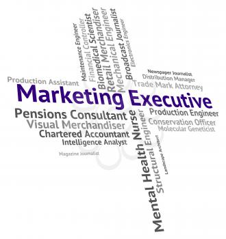 Marketing Executive Meaning Senior Administrator And Principal