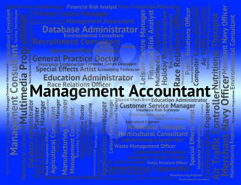 Management Accountant Representing Balancing The Books And Manager Directorate