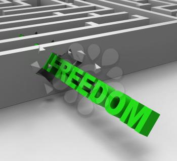 Freedom From Maze Shows Liberty Or Escape